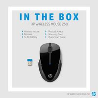 HP ASSY HP 250 Wireless Mouse - W128819388