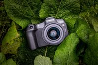 Canon EOS R8 MILC 24,2 MP CMOS 6000 x 4000 pixels Noir - W128341827