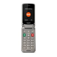 Gigaset Gl590 7.11 Cm (2.8") 113 G Silver Senior Phone - W128442497