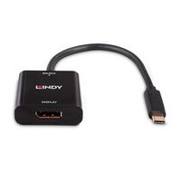 Lindy USB Type C to DisplayPort 4k144 Converter - W128456989