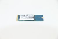 Lenovo SDK 1101 256G M.2 PCIe 2242 SS - W125499680