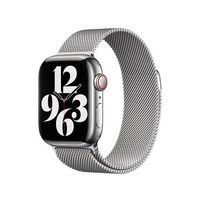 Apple Apple MTJN3ZM/A Smart Wearable Accessories Band Silver Stainless steel - W128597234