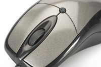 Ednet Mouse Ambidextrous Usb Type-A Optical 800 Dpi - W128781627
