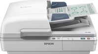 Epson A4, 1200 x 1200 dpi, ReadyScan LED, 25 ppm, 50 - 128 gsm, USB 2.0, 44.5 W, 9800 g, White - W124345640
