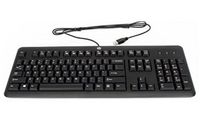 HP Keyboard, USB, Black - W124729192
