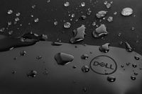 Dell 15", 40 x 30 x 8 cm, 549 g, Black - W124690560