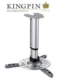 Kingpin Vertical projector mount silver - W125365863