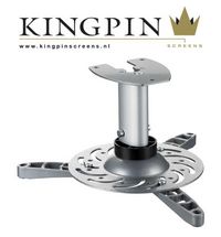 Kingpin Vertical projector mount silver - W125365863