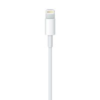 Apple Lightning to USB Cable - W125164116