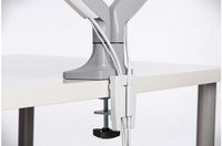 Kensington SmartFit® One-Touch Height Adjustable Dual Monitor Arm - W124759458