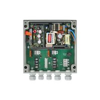 Raytec PSU-VAR-100W-2 power adapter/inverter, Powers 2x VARIO 8 series illuminators, Max Output: 100W - W124469346
