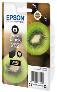 Epson Singlepack Photo Black 202 Claria Premium Ink - W124546748