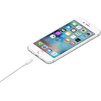 Apple Câble Lightning vers USB (1 m) - W125514379