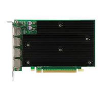 HP NVIDIA Quadro NVS 450 512 MB GDDR3, 128 bit, PCI Express x16, 4x DisplayPort, 400 MHz, 2560 x 1600 - W125271514