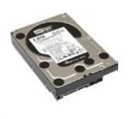 ThinkServer RD240 300GB SAS 1610081 - 