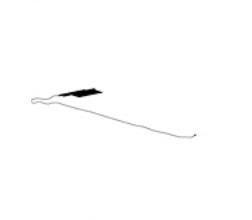 Antenna Dual - 