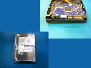 250GB SATA 6Gb/s 7200 HDD 99000060 - Discos Duros -