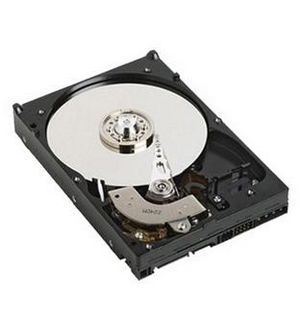 HD 1TB SAS 6GB 7K SGT - 4058154020067