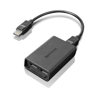 DisplayPort to Dual DisplayPor - Adaptadores -  887037444706