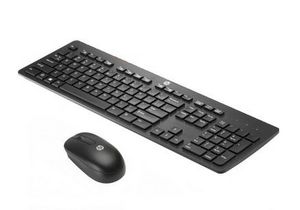 Hp Wireless Kb Dngl Mouse Win8 - 
