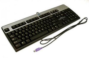 KYBD,PS/2,04BASIC-NL DT527A - Teclado / ratón -  5704327258704