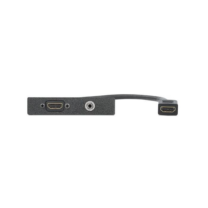 Extron Single Space AAP - Black: One HDMI Female to Female on 10" Pigtail, One 3.5 mm Stereo Mini Jack to C - W125355894