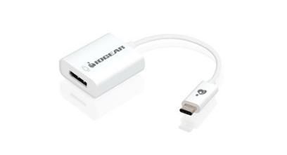 IOGEAR USB Type-C to DisplayPort Adapter - W125660621