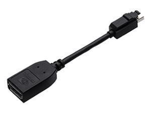 PNY Mini DisplayPort to DisplayPort Adapter - W124570004