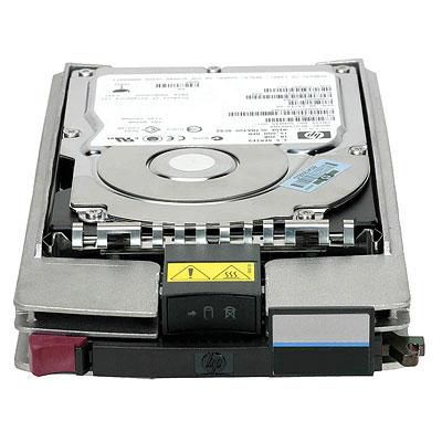 Hewlett Packard Enterprise 450GB 10000rpm FC HDD for EVA systems - W124923032