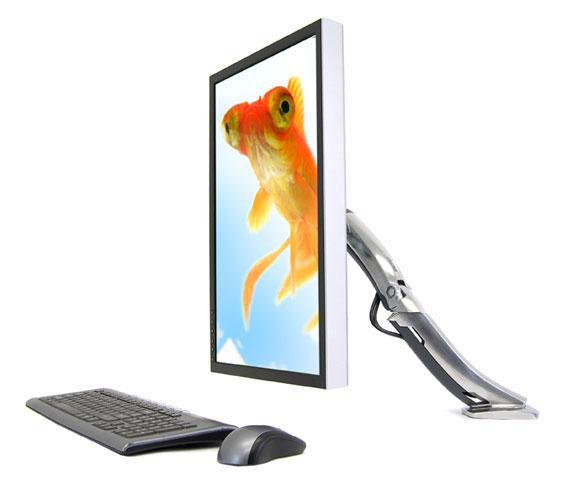 Ergotron MX Desk Mount LCD Arm - W124519926