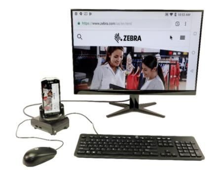 Zebra 4xUSB-A/HDMI/RJ-45, 1.5A, Black - W125654959
