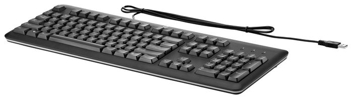 HP HP USB Keyboard for PC - W124669972