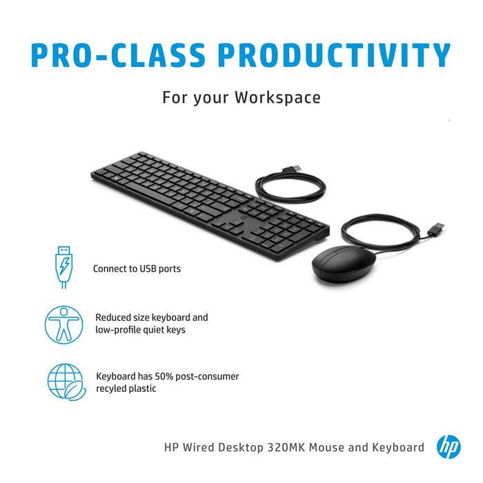 HP Wired Desktop 320MK Mouse and Keyboard - W125917008