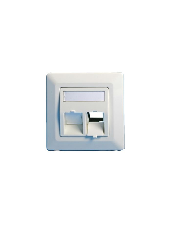 Lanview Wall plate, angled, Double outlet EURO white - W125941355
