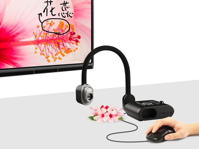 AVer 8MP Visualizer, Full HD, 60FPS, 204X zoom (10X optical) with VGA, HDMI and USB (flex arm) - W124427585