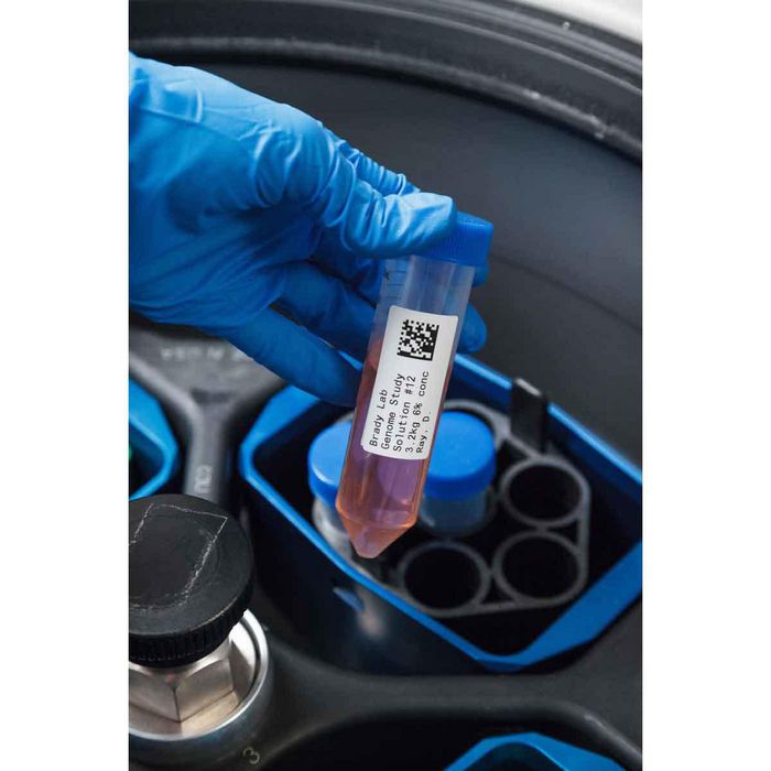 Brady 1" Small Core Polyester Cryogenic Laboratory Labels - W126061924