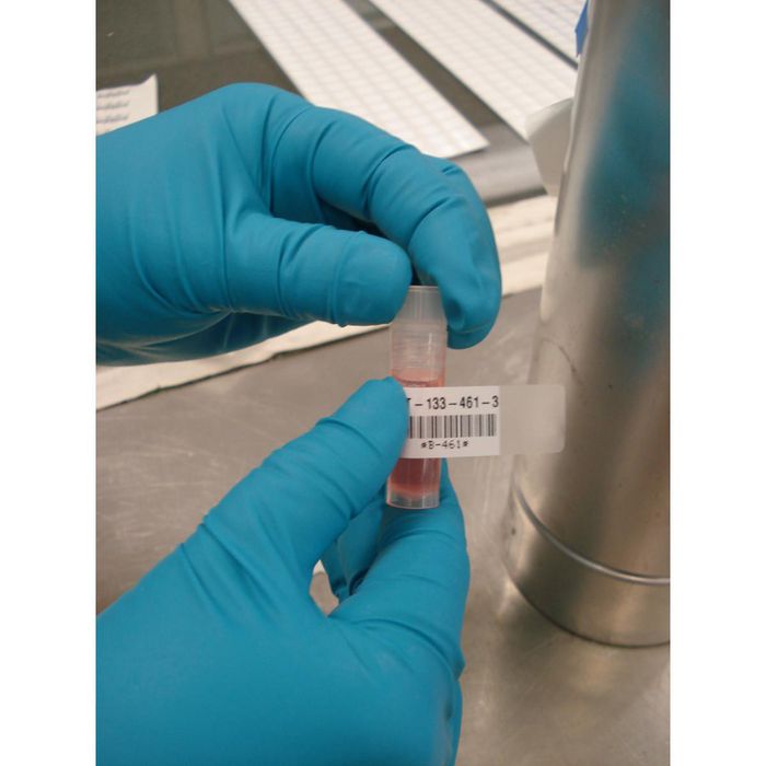 Brady BMP51 BMP53 Self-laminating Polyester Cryogenic Laboratory Labels - W126059505