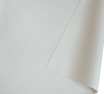 ORAY Nomaddict 1, Toile seule blanc mat, 16:9, 123 x 218 cm - W126093582