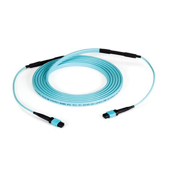 Black Box MTP OM3 Fiber Optic Trunk Cable - Plenum, 12-Strand, Type-C, 20-m - W126132361