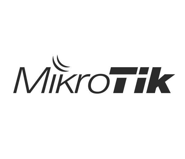 MikroTik Cloud Hosted Router, Perpetual-unlimited license - W124383487