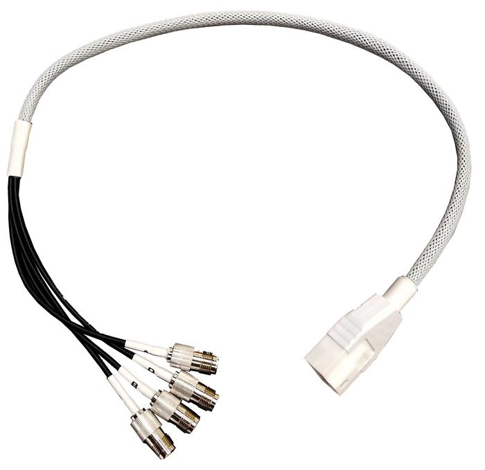 Ventev 2 ft 100 Series Cable Assembly with 4-Lead RPTNC Female - DART Connector - W126188115
