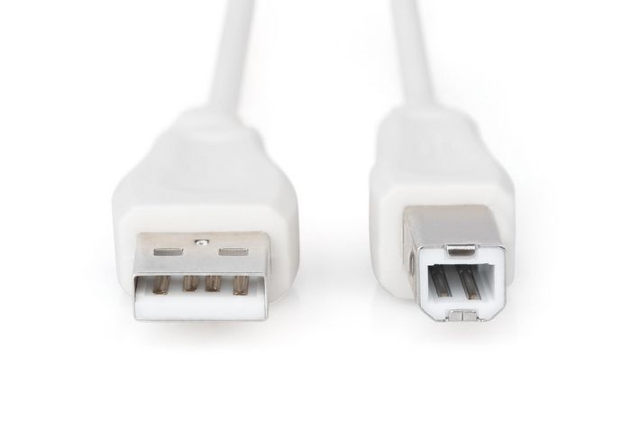 Digitus USB 2.0 connection cable, type A - B M/M, 1.0m, USB 2.0 conform, be - W125414493