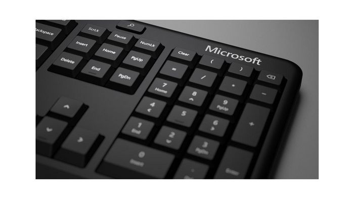 Microsoft Natural Ergonomic Keyboard US - W125742459