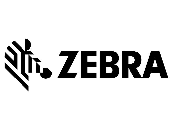 Zebra 1 year, 8x5 - W126575130