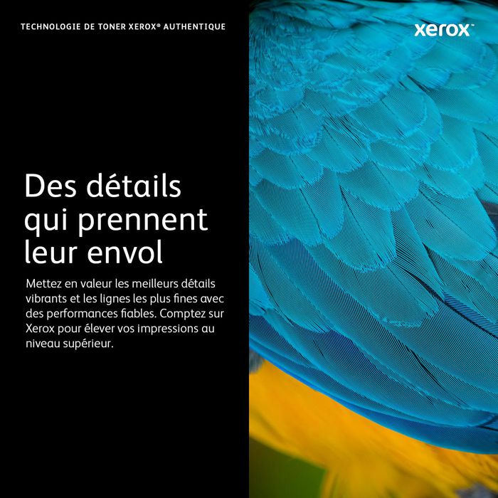 Xerox Cartouche de toner standard Noir (7 100 pages) Phaser 6700 - W124497903