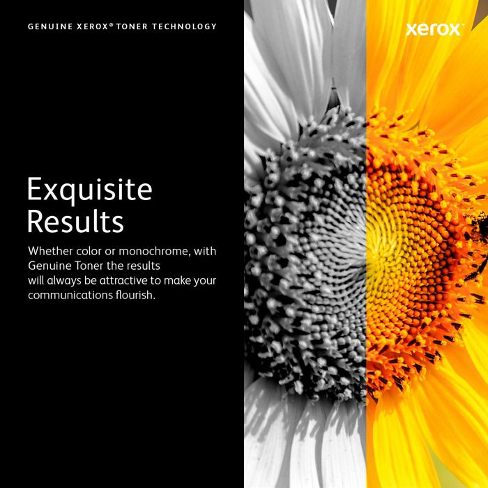 Xerox Cartouche d'impression haute capacité Phaser 3600 (14 000) - W125097356