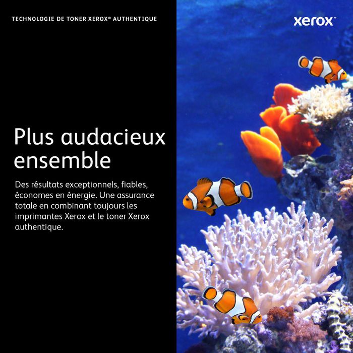 Xerox toner noir pour WorkCentre 7120/7125 - W124794003