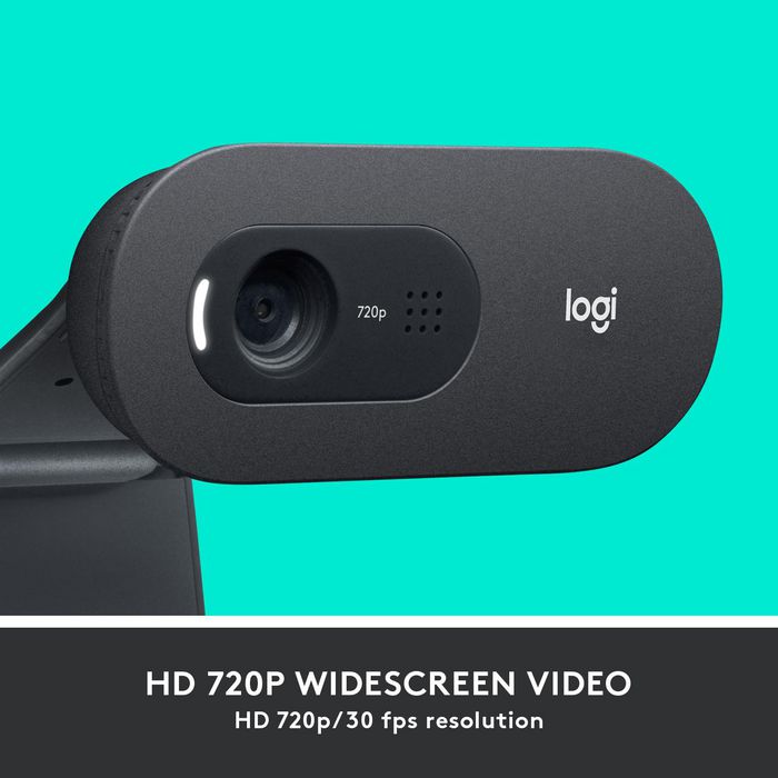 Logitech C505 HD webcam 1280 x 720 pixels USB Black - W128212095