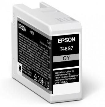 Epson Ultrachrome Pro Ink Cartridge 1 Pc(S) Original Grey - W128263087