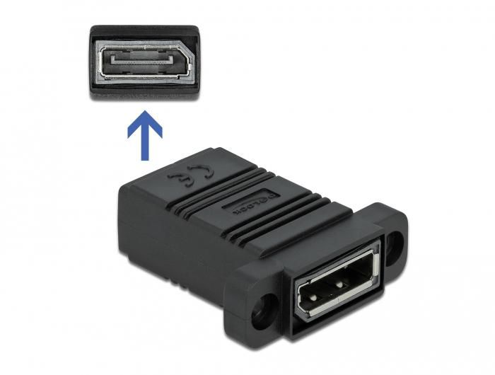 Delock 81309 video cable adapter DisplayPort Black - W128368643